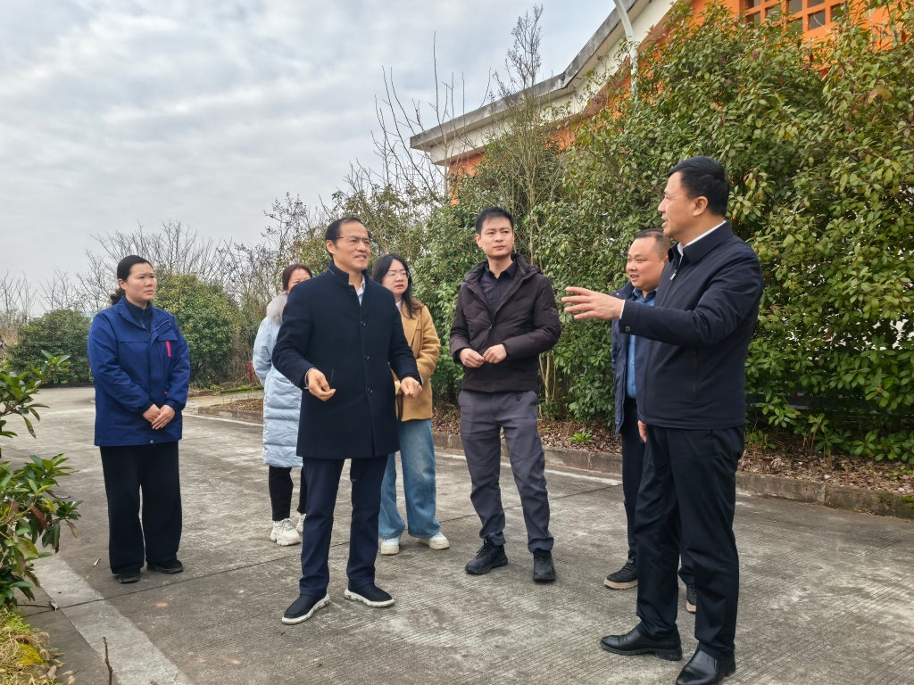 精準調研閑置地 創新盤活謀發展 ——蜀道高速集團唐新林調研巴廣渝公司閑置土地情況